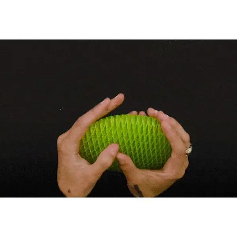 Morf Fidget Worm Green Big 20X20 Advanced Fidget Toy
