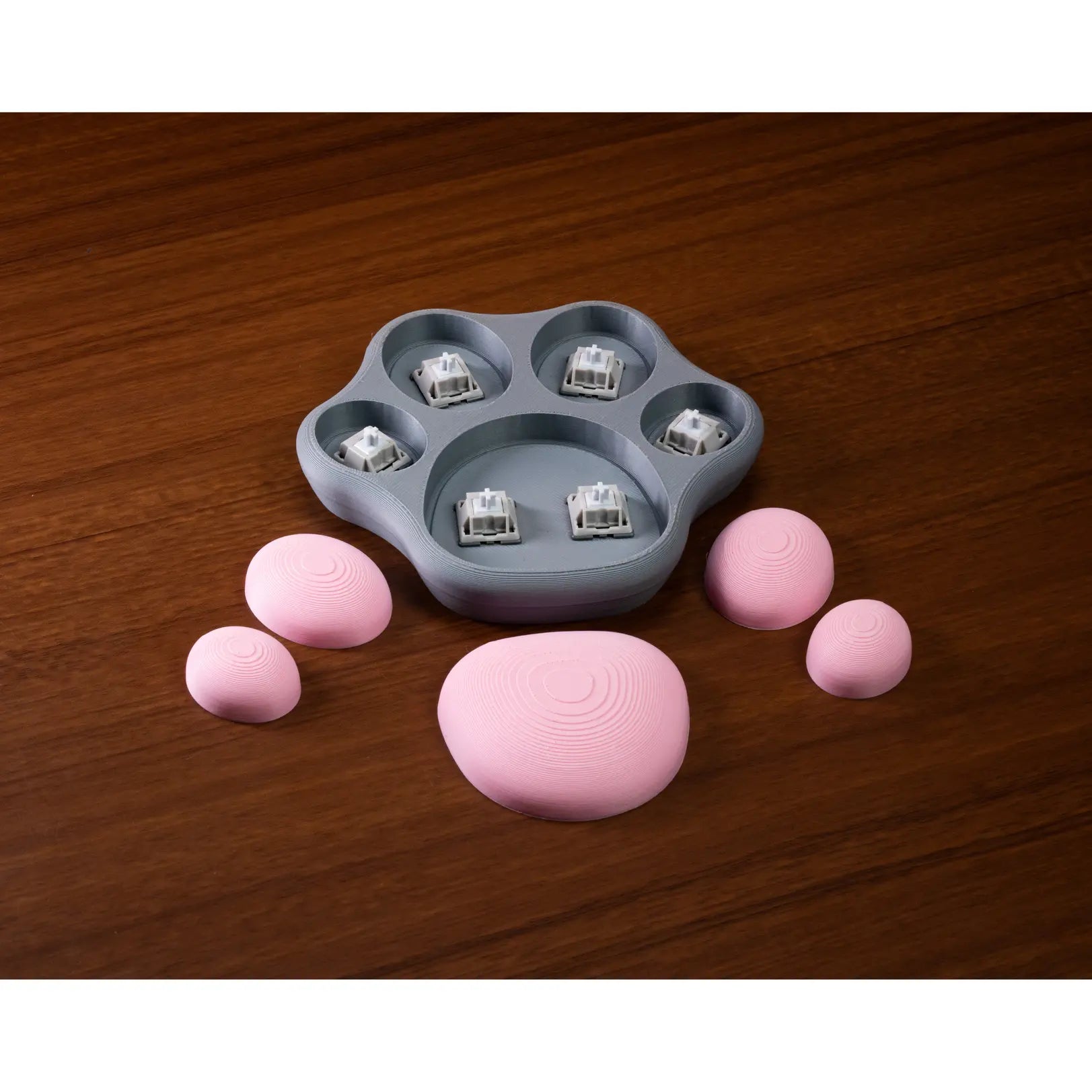 Cat Paw Switch Fidget