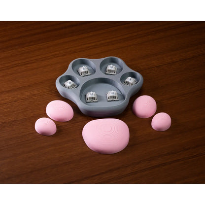 Cat Paw Switch Fidget