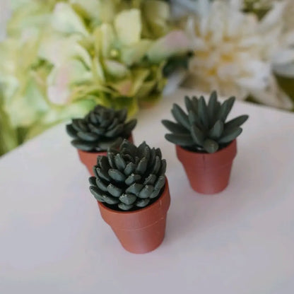 Fidget Clickers - Cactus Deviled Egg Coffee Desk Fidgets and Keychains, Vibrant Designs, Keychain or Backpack Fun