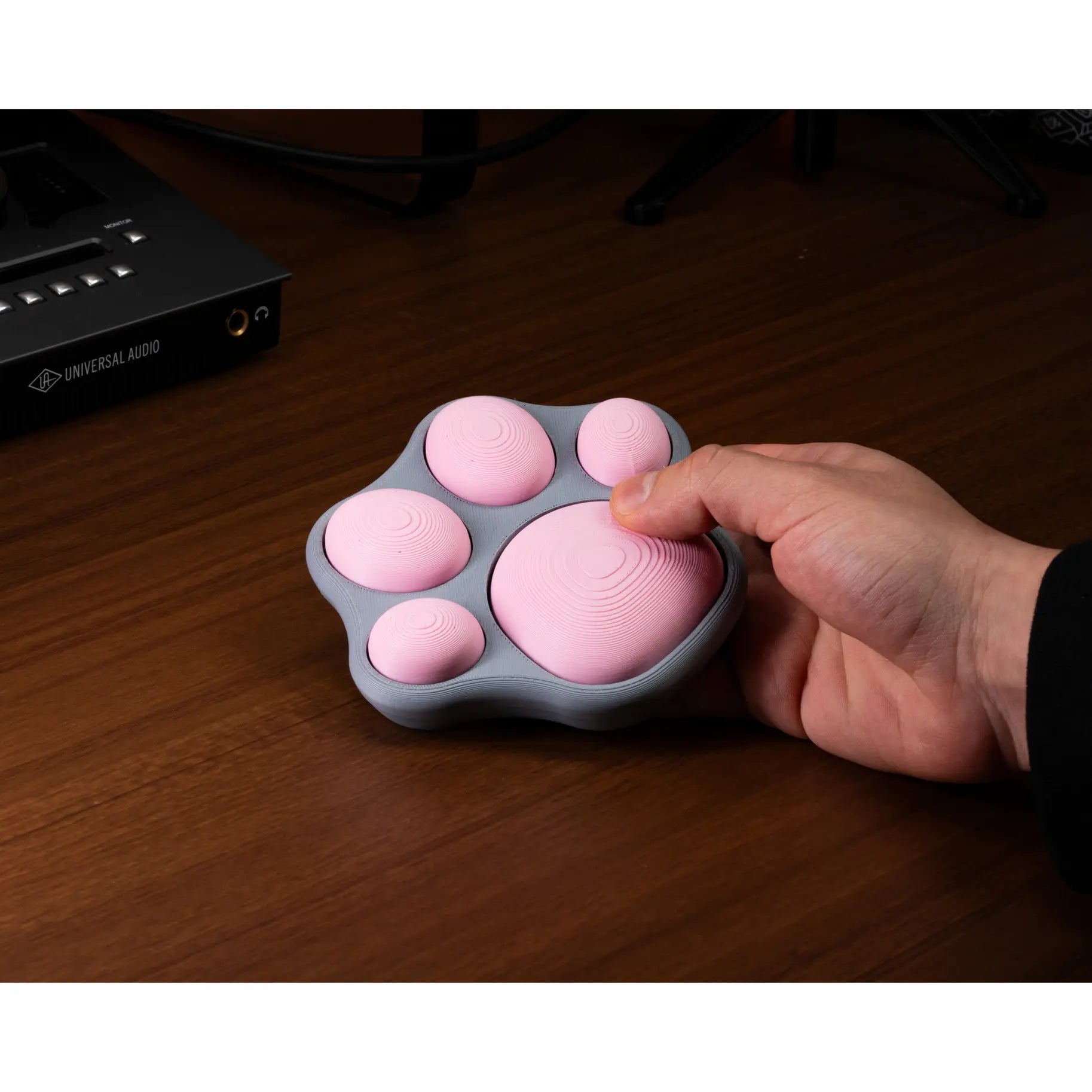Cat Paw Switch Fidget